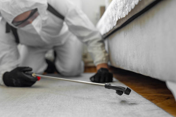 Professional Bed Bug Control technician working in La Mesilla, NM
